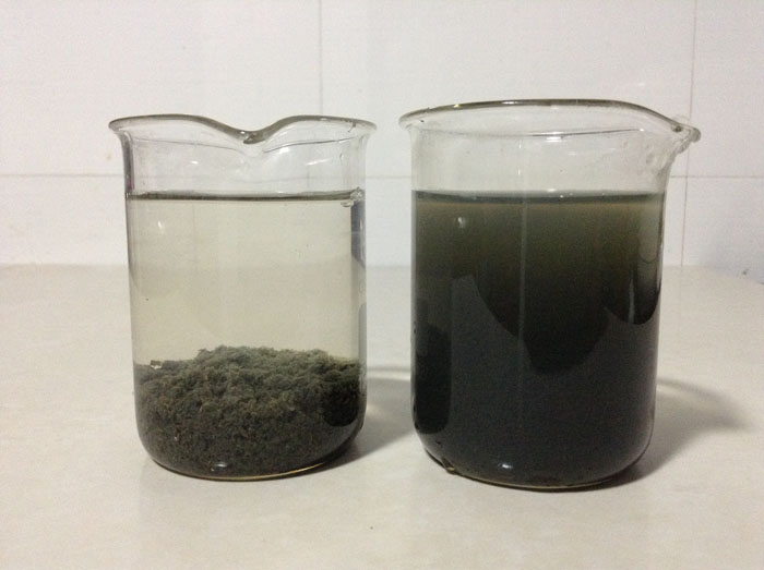 養豬廠(chǎng)污水處理絮凝劑用哪些