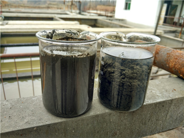 屠宰廠(chǎng)污水化學(xué)處理藥劑