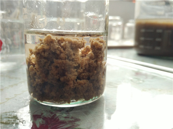 養豬場(chǎng)污泥脫水用陽(yáng)離子絮凝劑